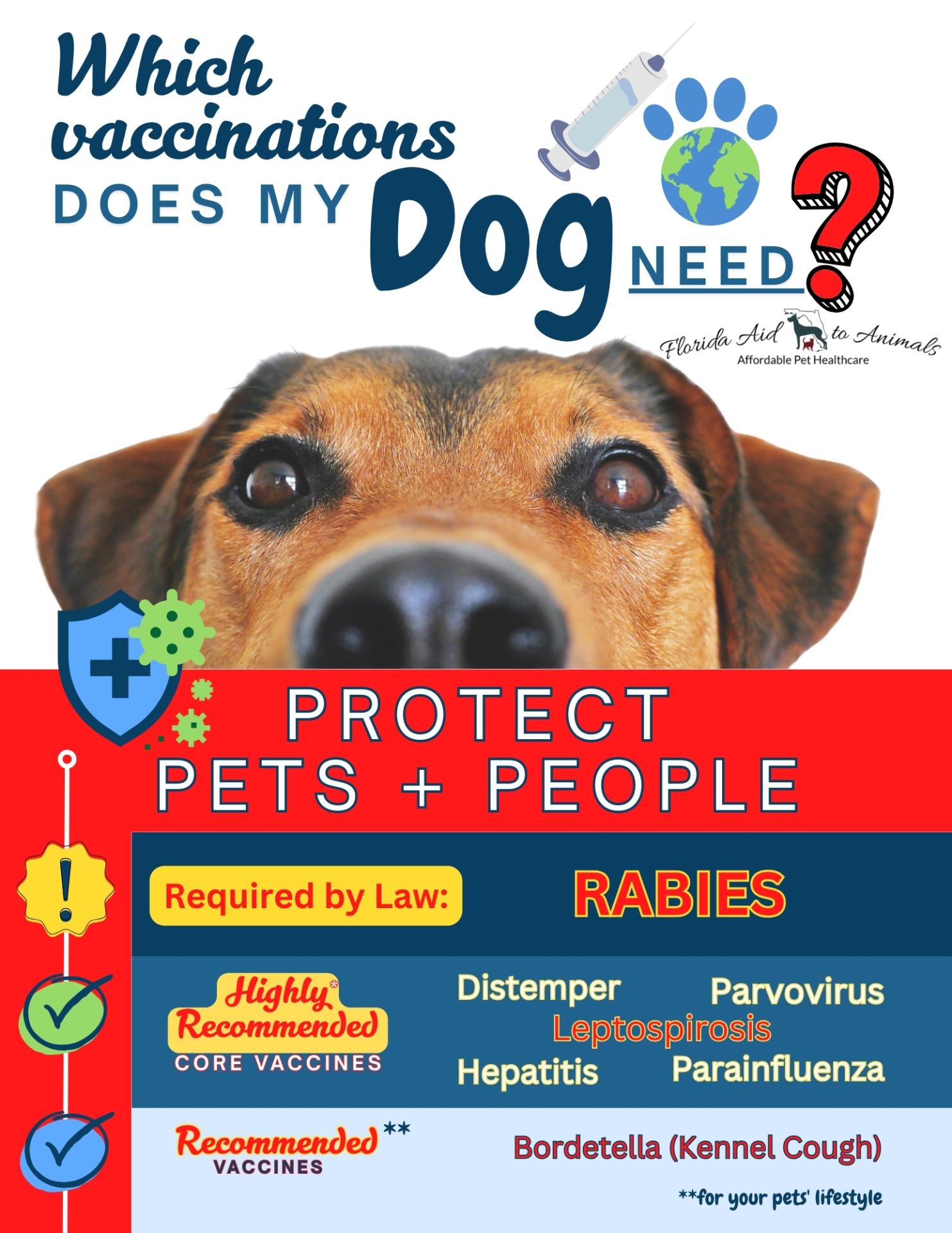 Canine Vaccines